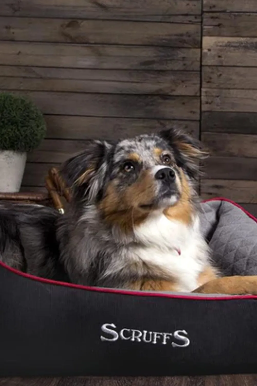 Scruffs Thermal Box Dog Bed