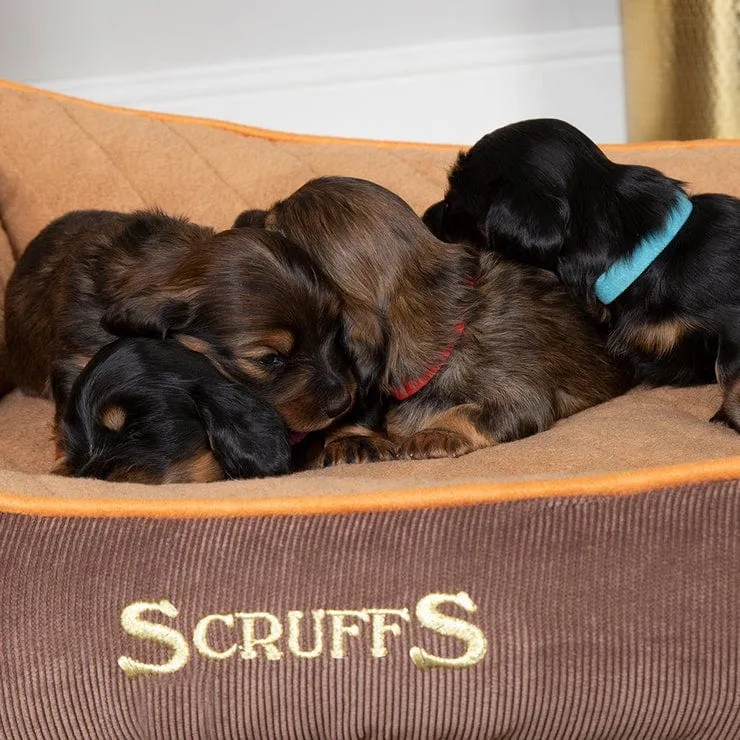 Scruffs® Thermal Box Pet Bed