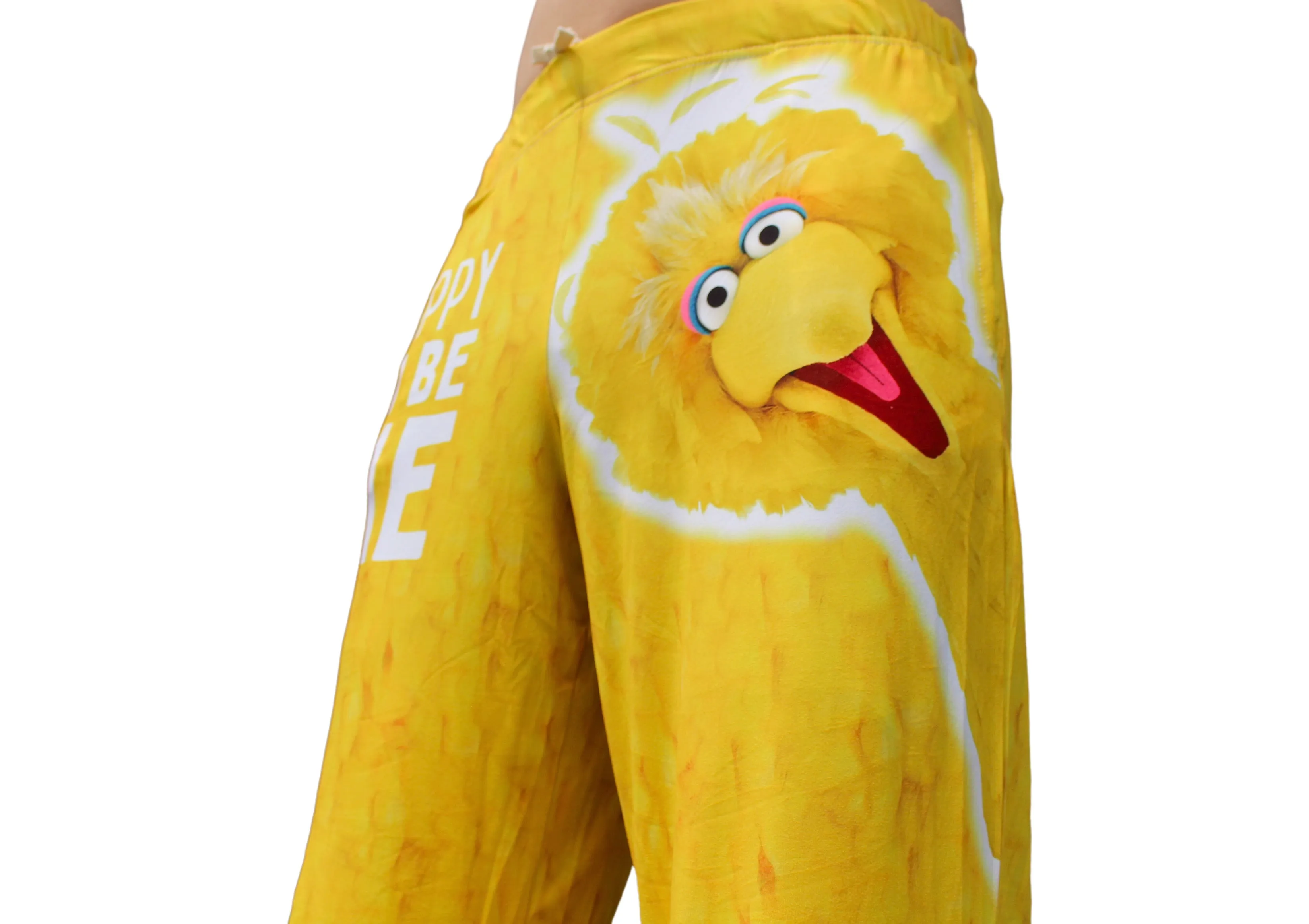 Sesame Street Big Bird Lounge Pants